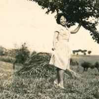 http://history.lib.ntnu.edu.tw/omeka/temp/ntnulib-ssr-ft_00699_0001-u.jpg